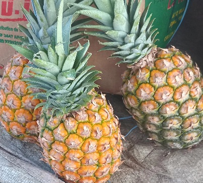 ANANAS