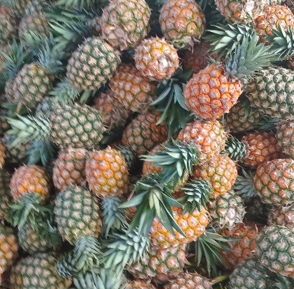 ANANAS