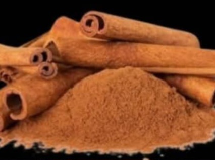 POUDRE DE CANELLE