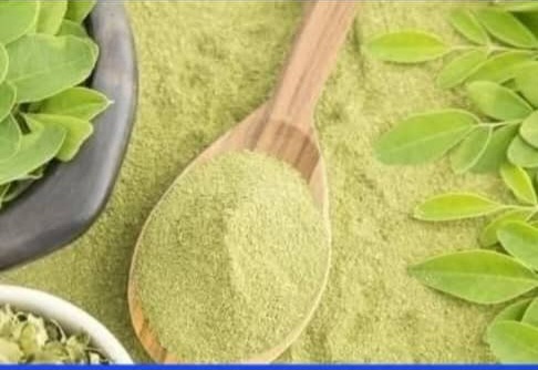 POUDRE DE MORINGA