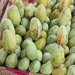 4 GROSSES MANGUES BOUAKE