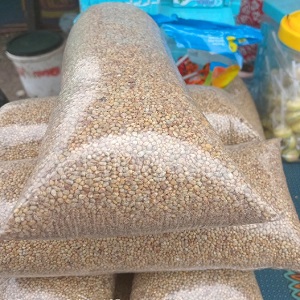 GRAINS DE MAIS